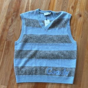Coach V-Neck Blue and Gray Striped Sweater Vest